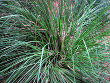 Load image into Gallery viewer, Aromatherapy Essential Oils