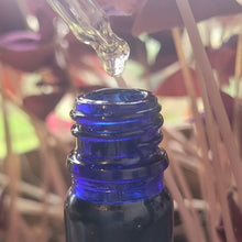 Load image into Gallery viewer, Prickly Pear Seed Oil