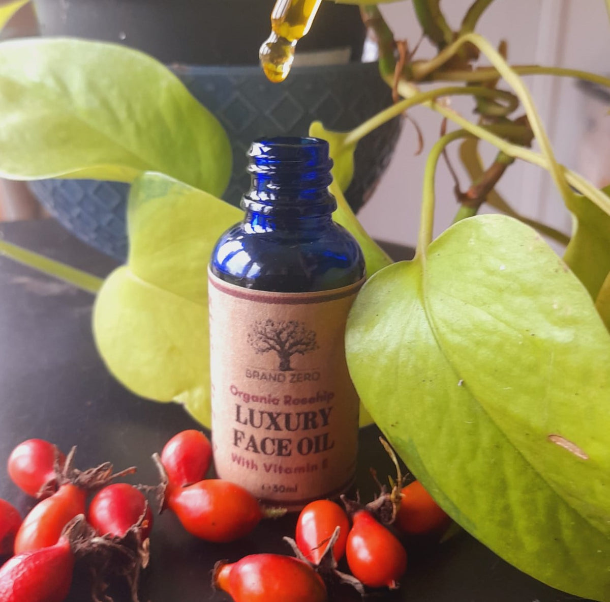 Brand Zero Rosehip Luxury Face Oil – Brand Zero Naturals