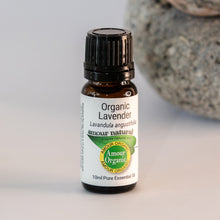 Load image into Gallery viewer, Aromatherapy Essential Oils
