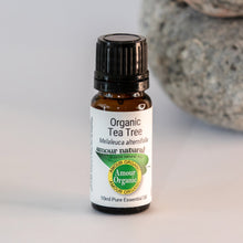 Load image into Gallery viewer, Aromatherapy Essential Oils