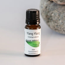 Load image into Gallery viewer, Aromatherapy Essential Oils