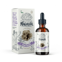 Load image into Gallery viewer, Medicinal Mushroom Tinctures
