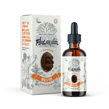 Load image into Gallery viewer, Medicinal Mushroom Tinctures