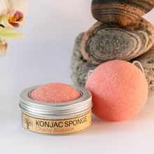 Load image into Gallery viewer, Konjac sponges

