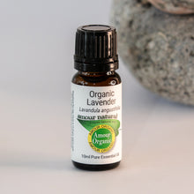 Load image into Gallery viewer, Aromatherapy Essential Oils
