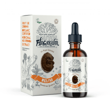 Load image into Gallery viewer, Medicinal Mushroom Tinctures
